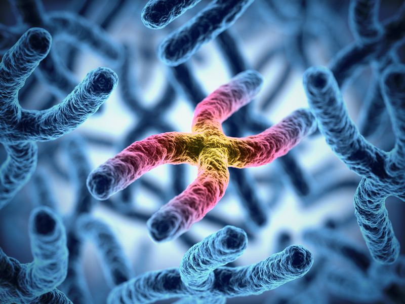 x chromosome inactivation